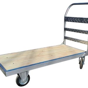 Zorra Americana Liviana